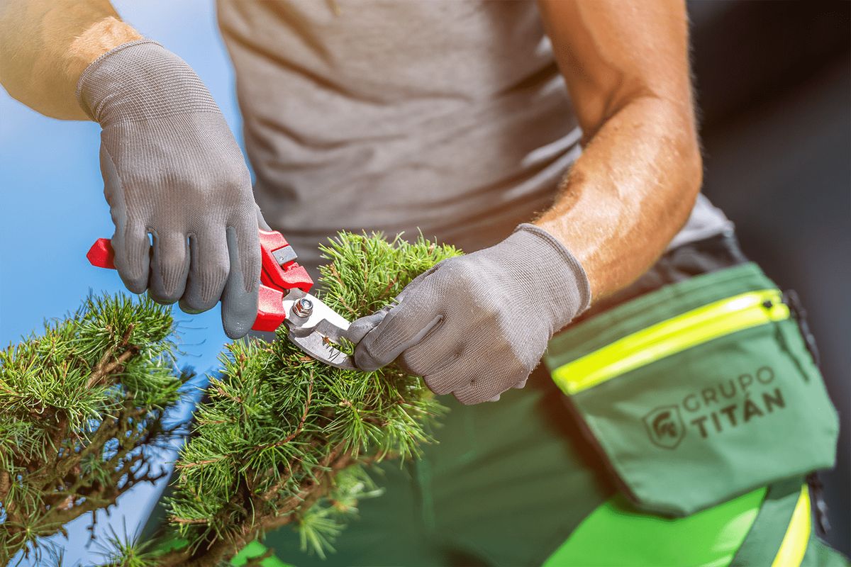 Jardinería y Mantenimiento de áreas de verdes